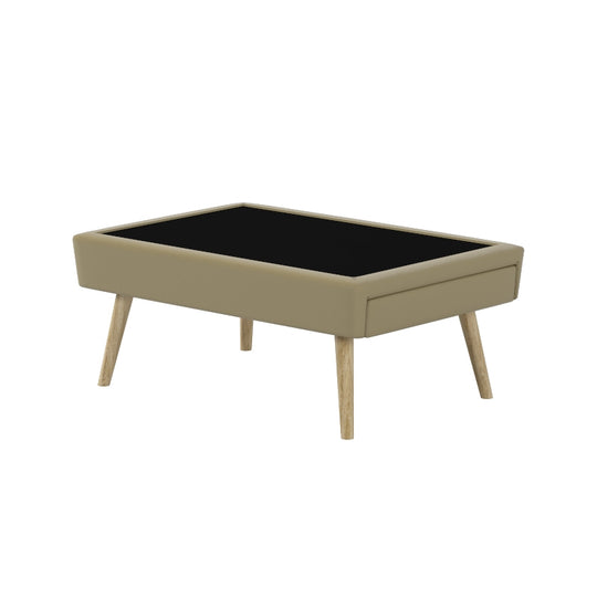 KAYDEN FAUX LEATHER COFFEE TABLE