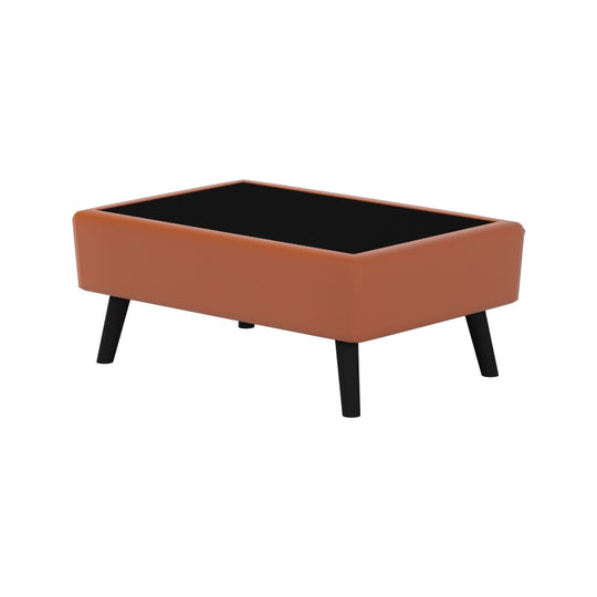CARLOS FAUX LEATHER COFFEE TABLE