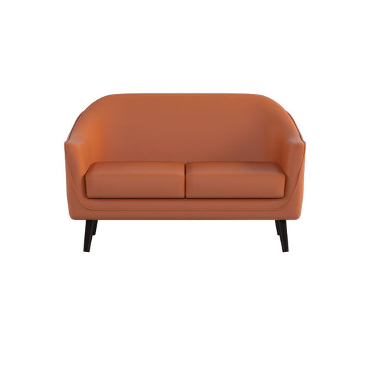 Ariana Faux Leather 2 Seater Sofa