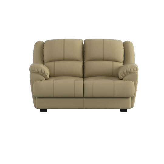 Esme Faux Leather 2 Seater Sofa